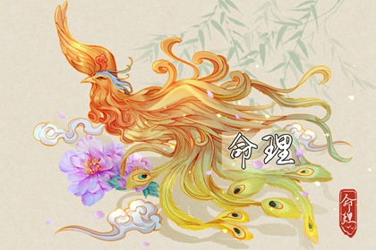择吉老黄历,择吉日查询,玄奥择吉黄历
