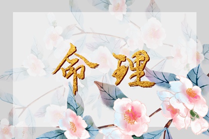 快速算生辰八字|八字速配|年运测算|八字罗盘查询|八字查询|夫妻测八字免费